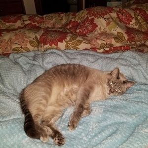 Meet your Posher, Steven